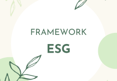 O Framework ESG